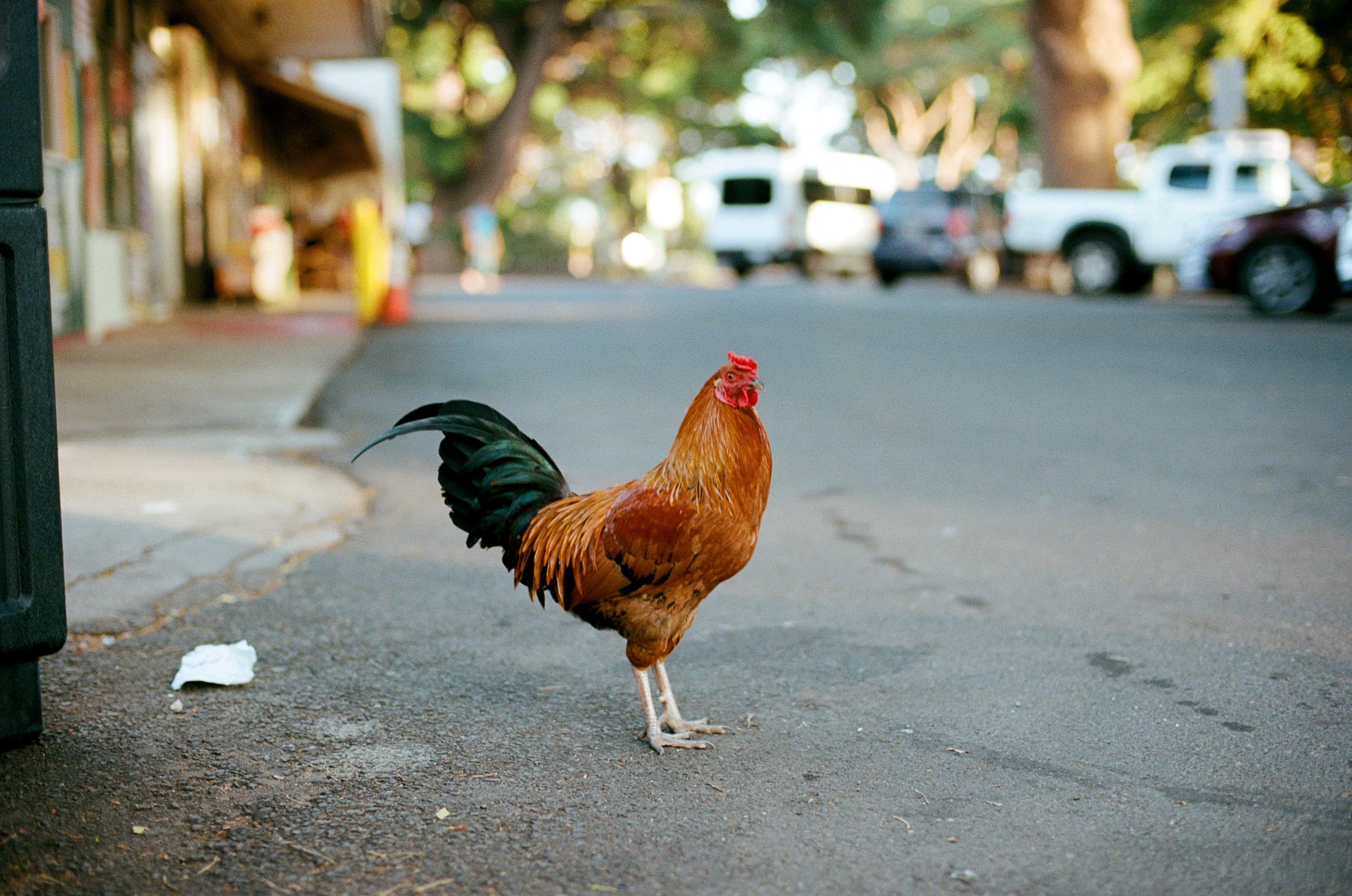 Modern Web Application - Akaal Project Portfolio