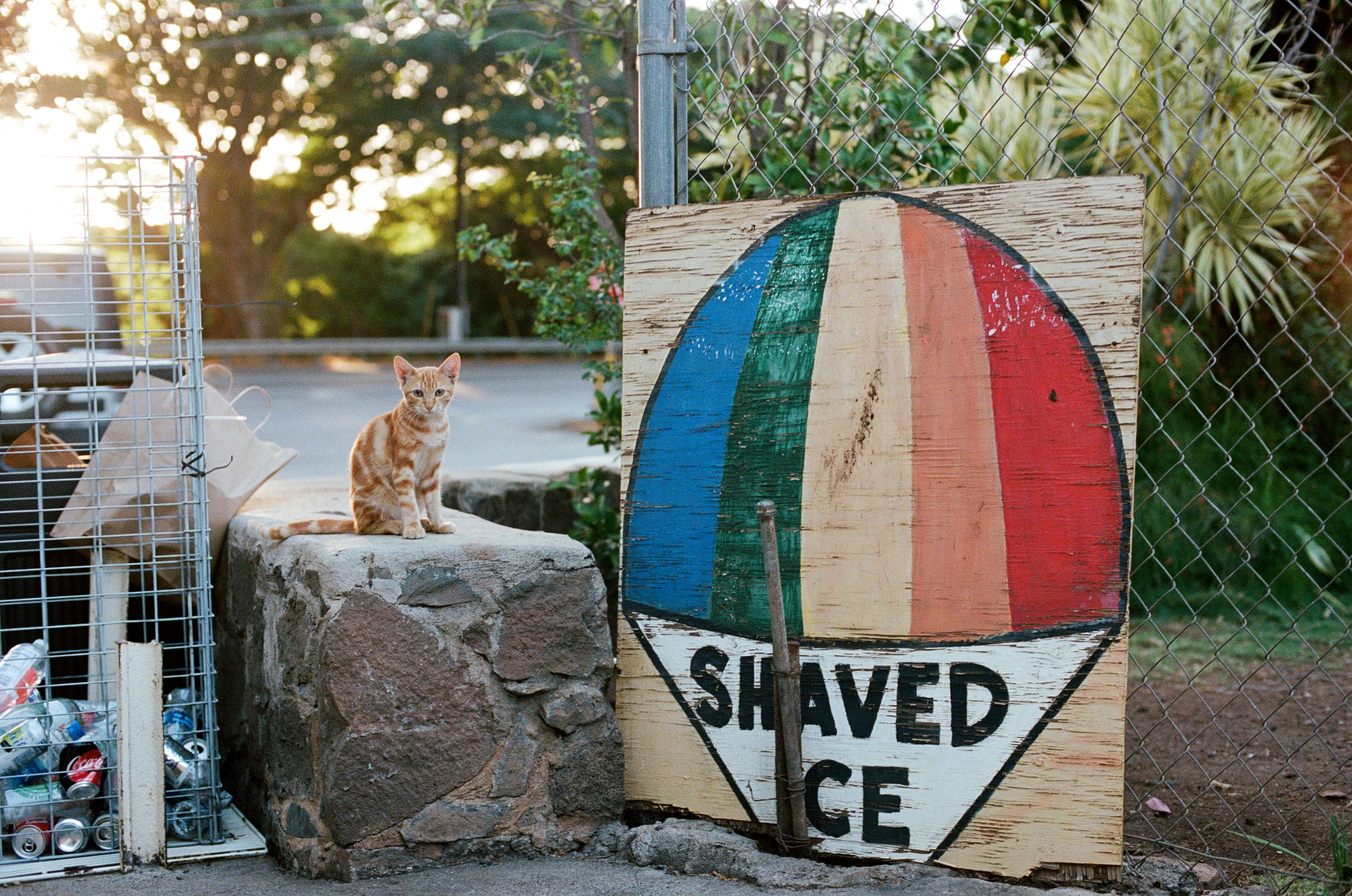 Cloud-Based Platform - Akaal Project Portfolio